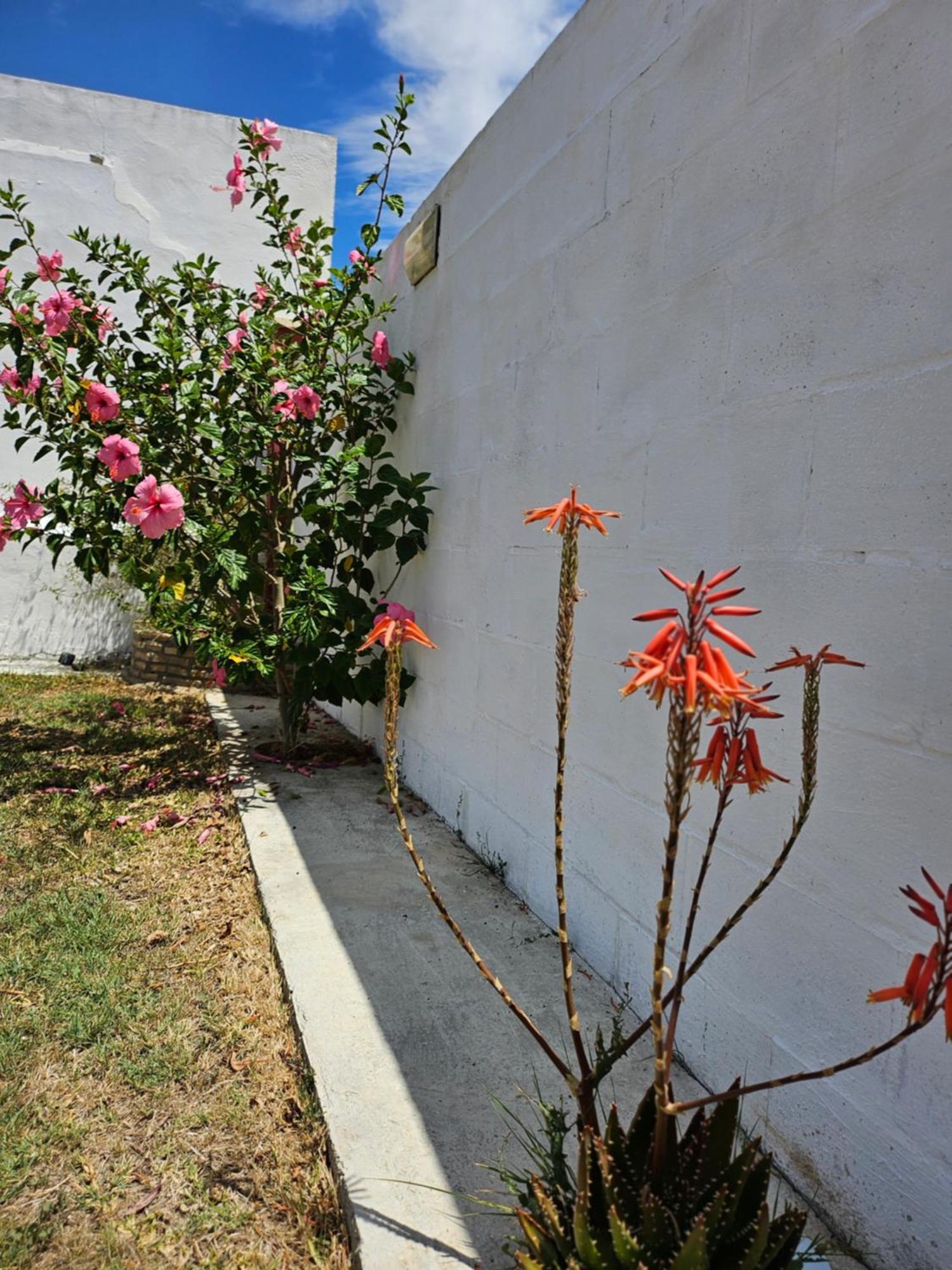 Villa Nonina Chiclana de la Frontera Dış mekan fotoğraf