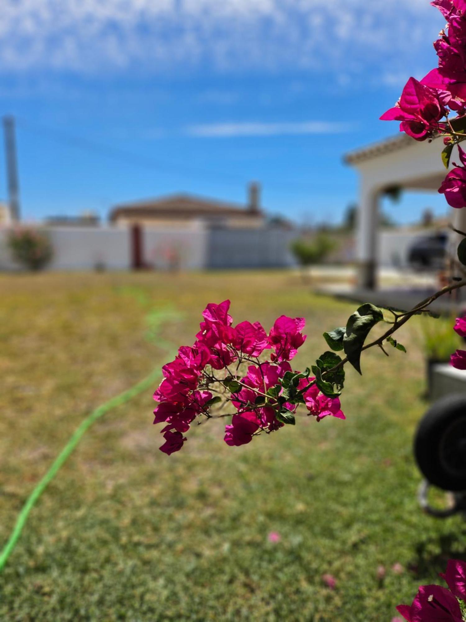 Villa Nonina Chiclana de la Frontera Dış mekan fotoğraf